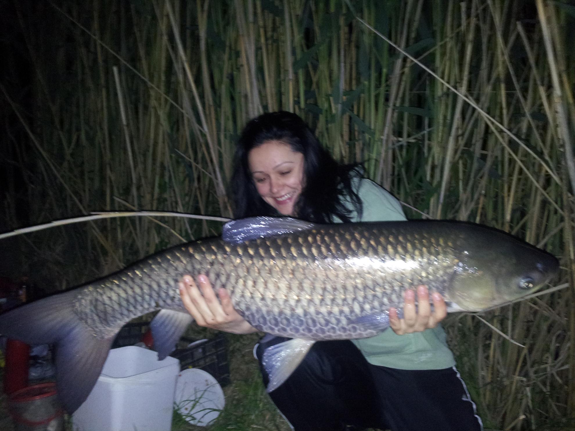 Prima Partida 2013 - Tancabesti Vaci 0 - 20130512013242.jpg